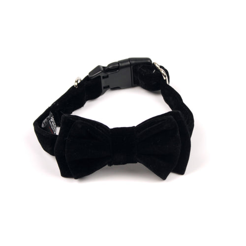 Black Velvet Bow Tie by The Paw Wag Company for Dogs