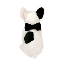 Black Velvet Bow Tie by The Paw Wag Company for Dogs