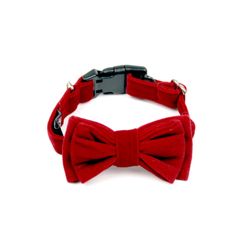 Red Velvet Bow Tie by The Paw Wag Company for Dogs