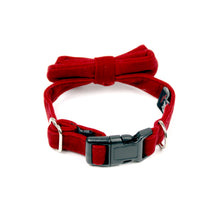 Red Velvet Bow Tie by The Paw Wag Company for Dogs