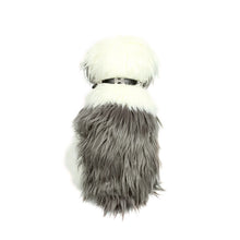 Rhinestone Dog Bone Collar in Black by The Paw Wag Company
