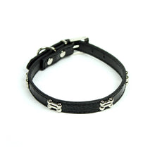  Dog Bone Collar in Black by The Paw Wag Company