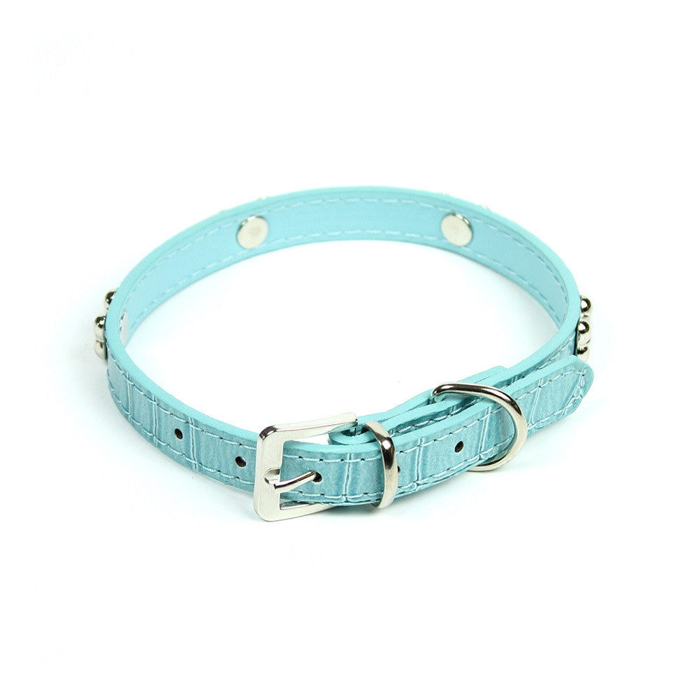 Tiffany blue hotsell dog collar