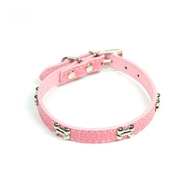 Dog Bone Collar in Pink by The Paw Wag Company