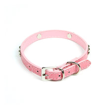 Dog Bone Collar in Pink by The Paw Wag Company