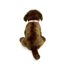 Dog Bone Collar in Pink by The Paw Wag Company