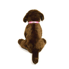 Rhinestone Dog Bone Collar in Fuschia