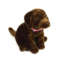 Rhinestone Dog Bone Collar in Fuschia