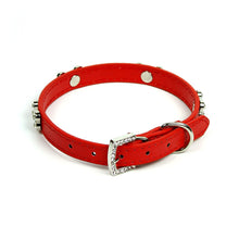 Rhinestone Dog Bone Collar in Red by The Paw Wag Company