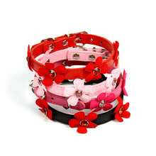 Daisy Collar by The Paw Wag Company