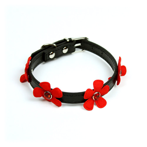 Daisy Collar in Black by The Paw Wag Company