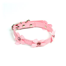 Daisy Collar in Pink by The Paw Wag Company