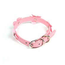 Daisy Collar in Pink by The Paw Wag Company