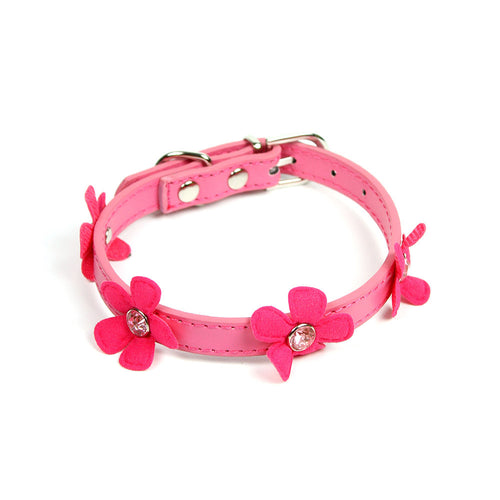 Daisy Collar in Fuschia by The Paw Wag Company