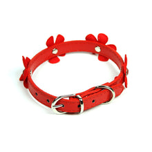 Daisy Collar in Red by The Paw Wag Company