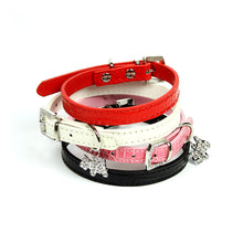 Terrier Charm Collar by The Paw Wag Company