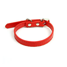 Terrier Charm Collar in Red by The Paw Wag Company