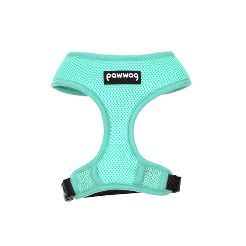 Paw Wag Harness in Turquoise by The Paw Wag Company
