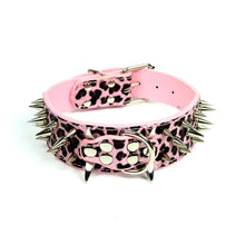 Leopard Print Spiked Collar in Pink by The Paw Wag Company