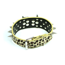 Leopard Print Spiked Collar in Khaki by The Paw Wag Company