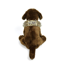 Leopard Print Spiked Collar in Khaki by The Paw Wag Company