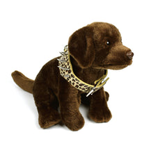 Leopard Print Spiked Collar in Khaki by The Paw Wag Company