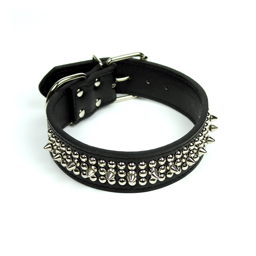 Spikes and Studds Collar in Black by The Paw Wag Company