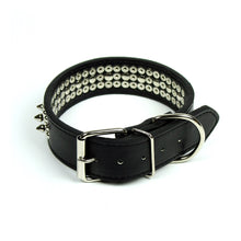 Spikes and Studds Collar in Black by The Paw Wag Company