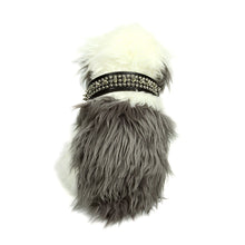 Spikes and Studds Collar in Black by The Paw Wag Company