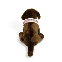 Spikes and Studds Collar in Pink by The Paw Wag Company