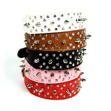 Rhinestones and Spikes Collar by The Paw Wag Company