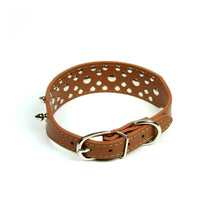 Rhinestones and Spikes Collar in Brown by The Paw Wag Company